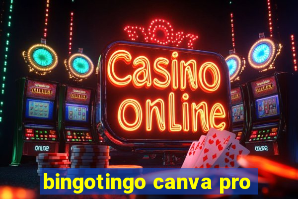 bingotingo canva pro